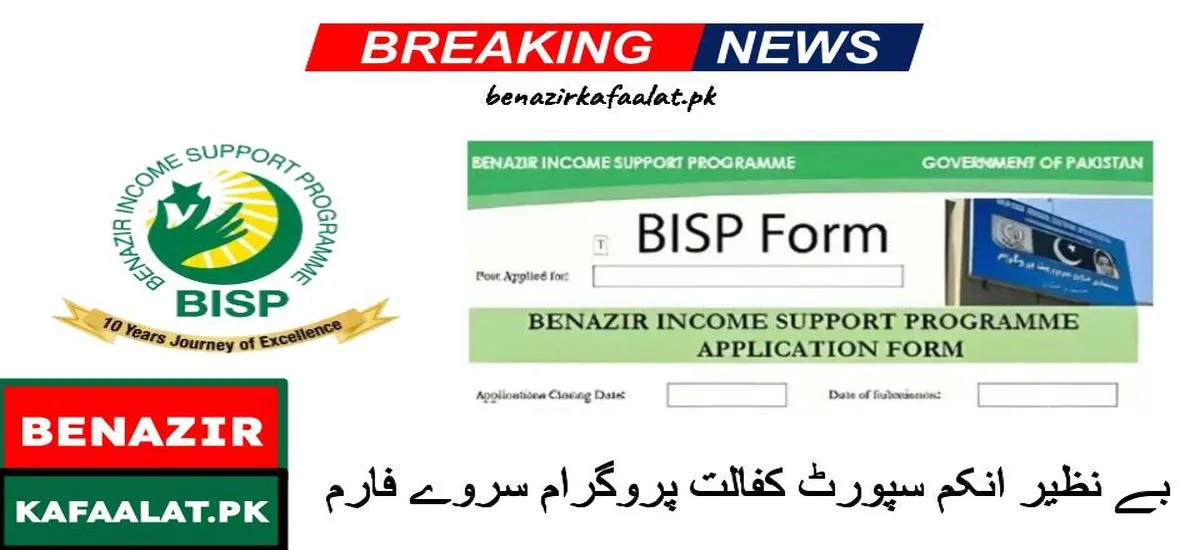 Benazir Survey Form