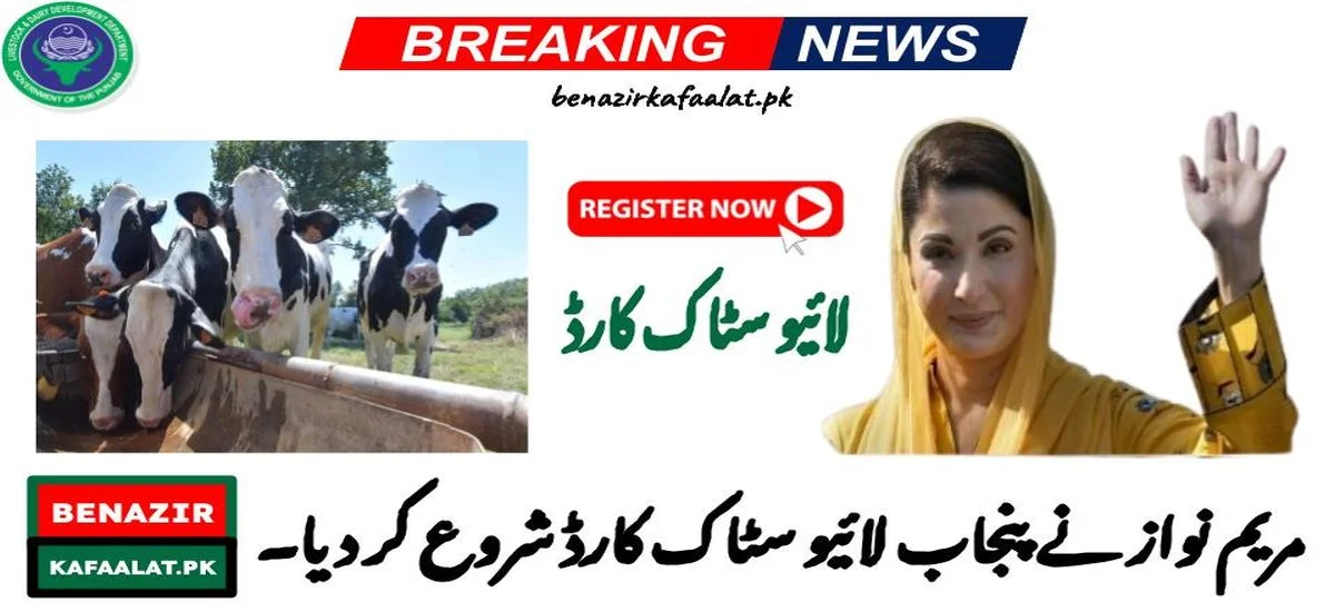 Maryam Nawaz Started Punjab Livestock Card