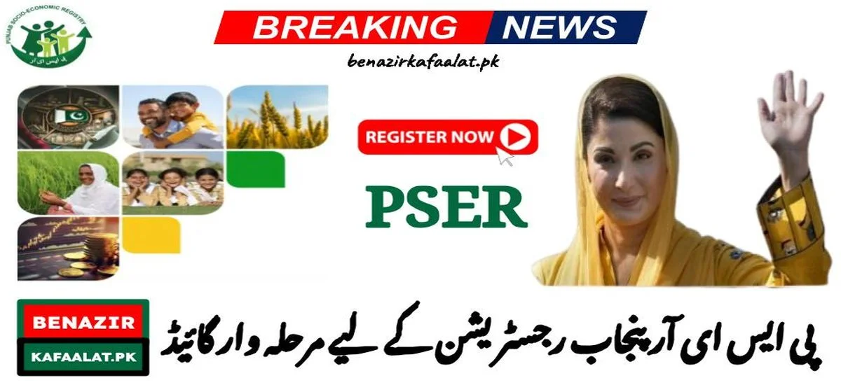 Step-by-step guide for PSER Punjab registration