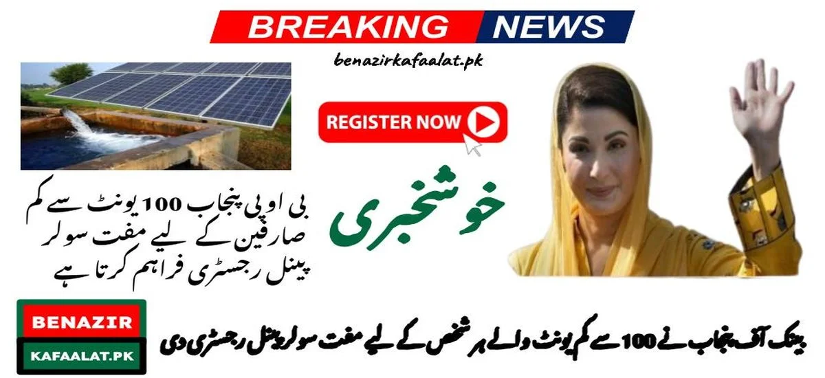 Update BOP Punjab Provides a Free Solar Panel Registry for Less Than 100 Unit Consumers