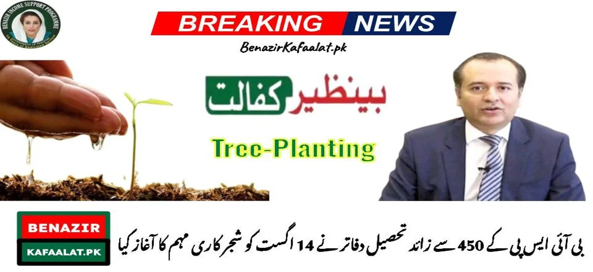 More than 450 BISP Tehsil Offices launched a tree-planting campaign