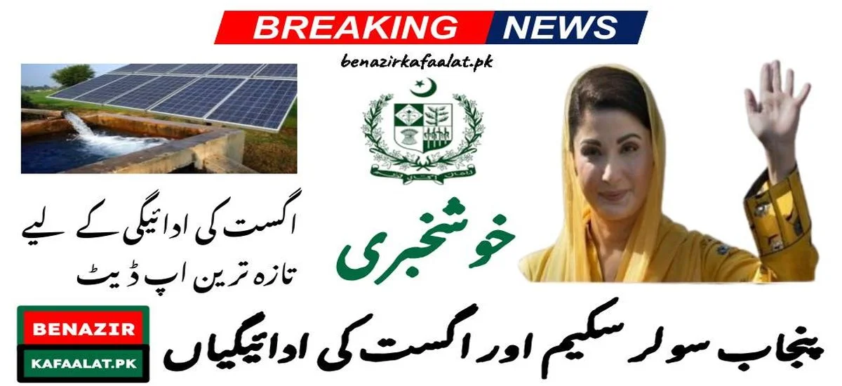 Punjab Solar Scheme and August Payments Latest