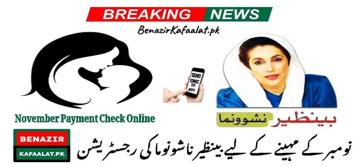 Nov Registration Update for Benazir Nashonuma Program