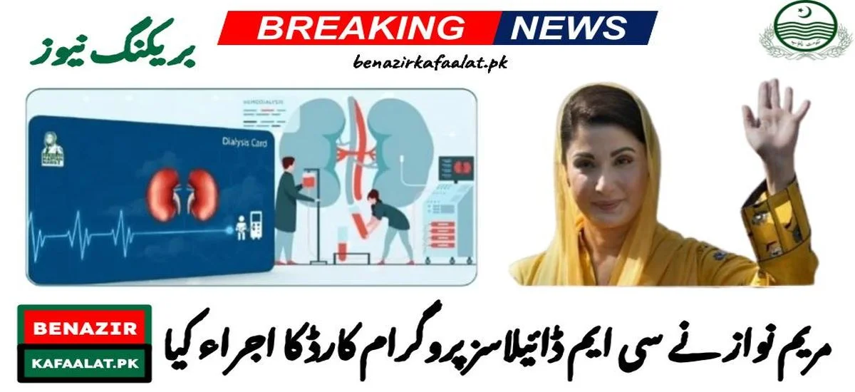 Punjab Govt Increased Funds for Each Dialysis Patient up to Rs 1 Million